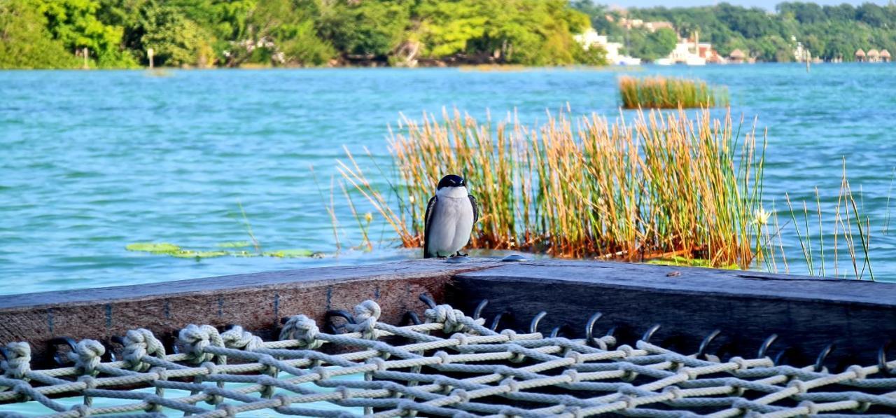 Casita Maya Bacalar Εξωτερικό φωτογραφία